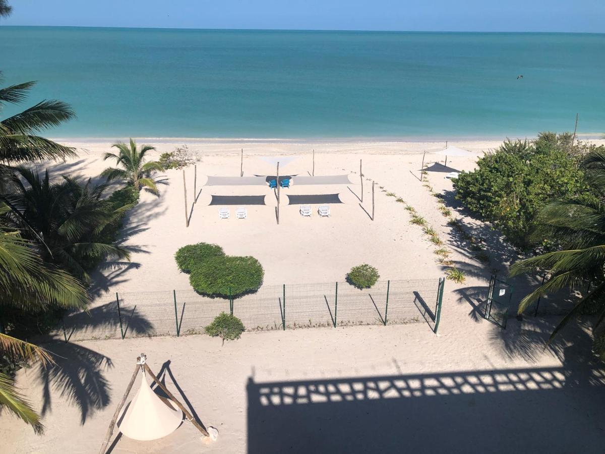 Playa 55 Beach Escape - Adults Only Guesthouse Celestun Dış mekan fotoğraf