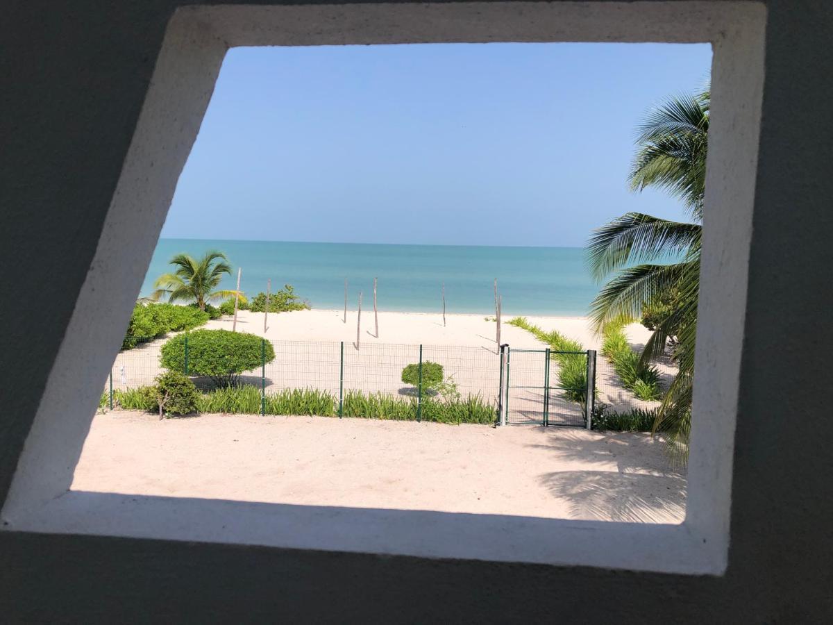 Playa 55 Beach Escape - Adults Only Guesthouse Celestun Dış mekan fotoğraf