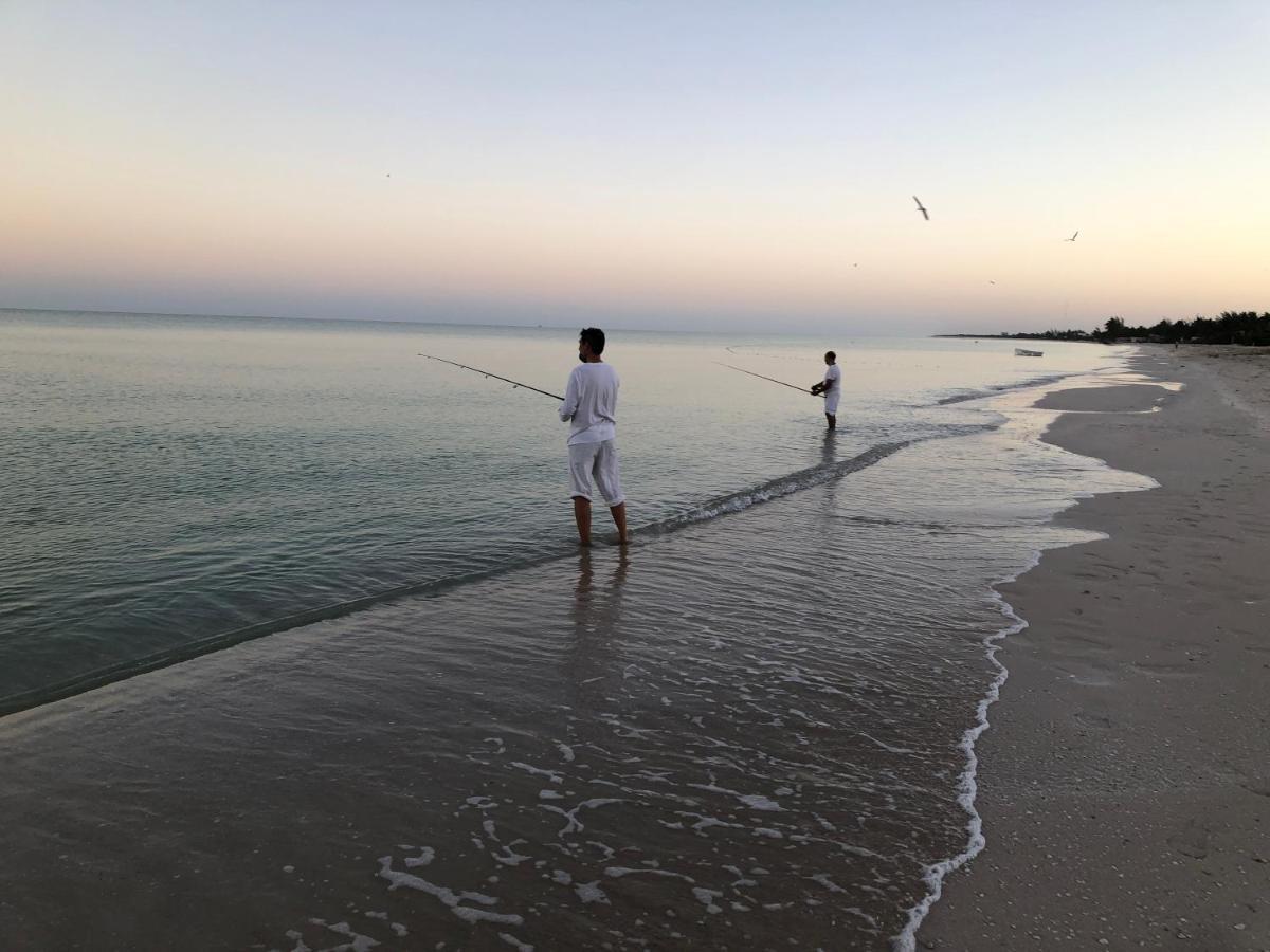 Playa 55 Beach Escape - Adults Only Guesthouse Celestun Dış mekan fotoğraf