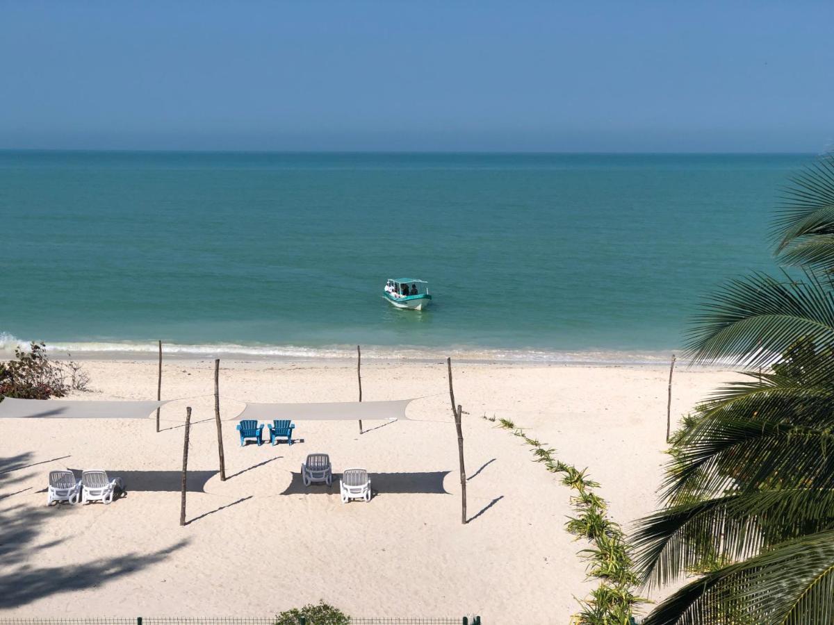 Playa 55 Beach Escape - Adults Only Guesthouse Celestun Dış mekan fotoğraf