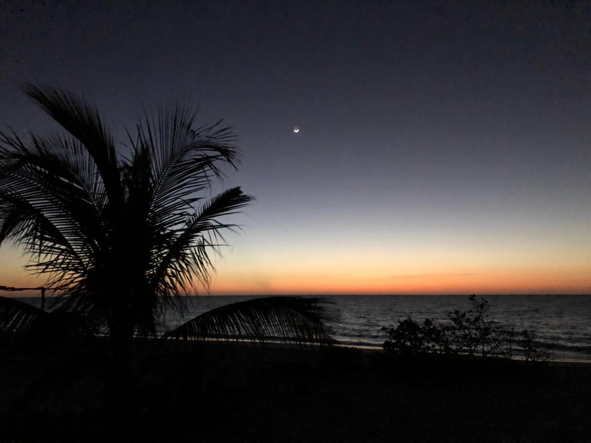 Playa 55 Beach Escape - Adults Only Guesthouse Celestun Dış mekan fotoğraf