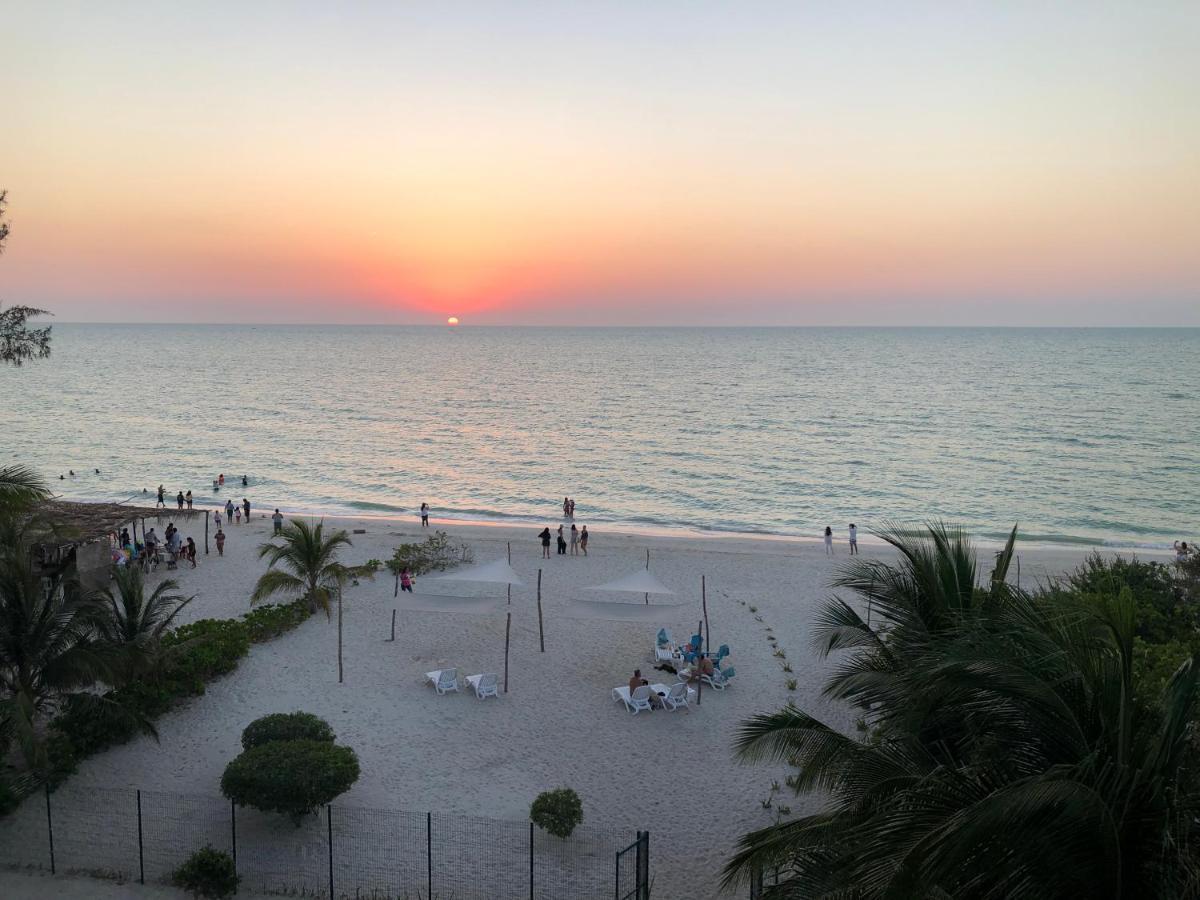 Playa 55 Beach Escape - Adults Only Guesthouse Celestun Dış mekan fotoğraf