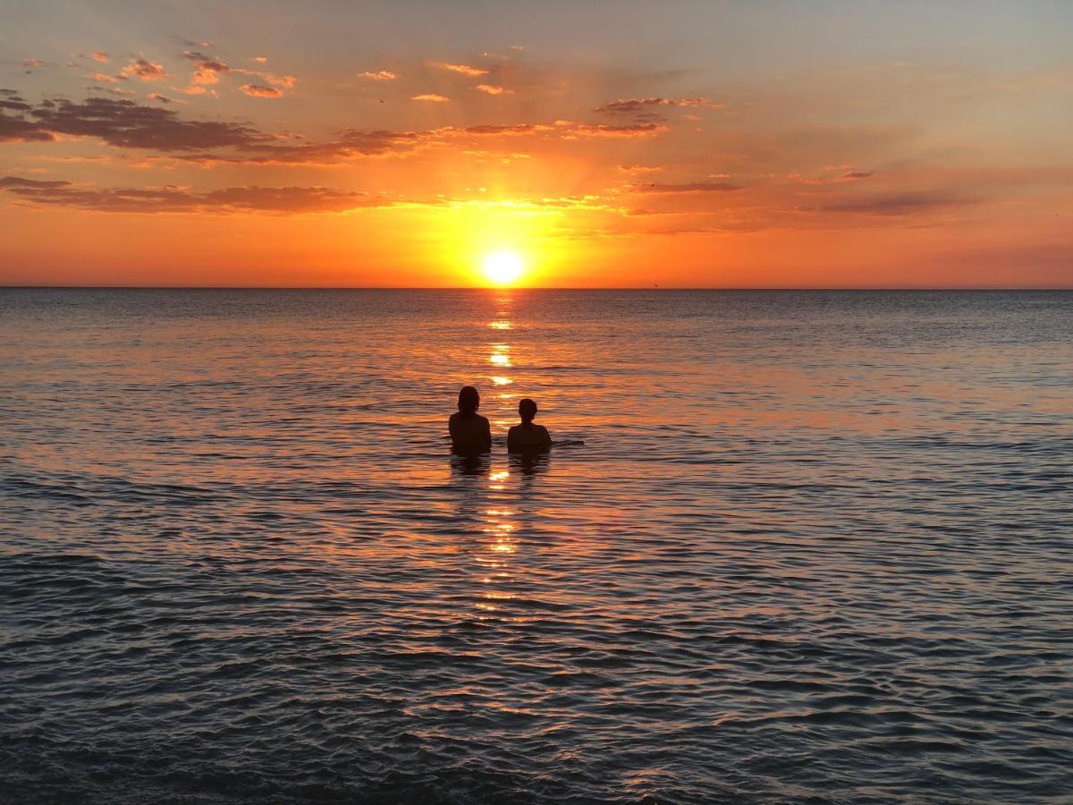 Playa 55 Beach Escape - Adults Only Guesthouse Celestun Dış mekan fotoğraf
