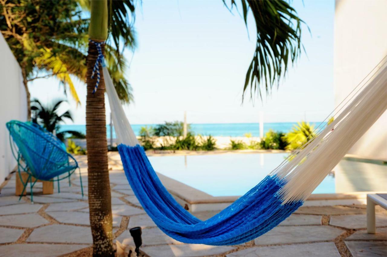 Playa 55 Beach Escape - Adults Only Guesthouse Celestun Dış mekan fotoğraf